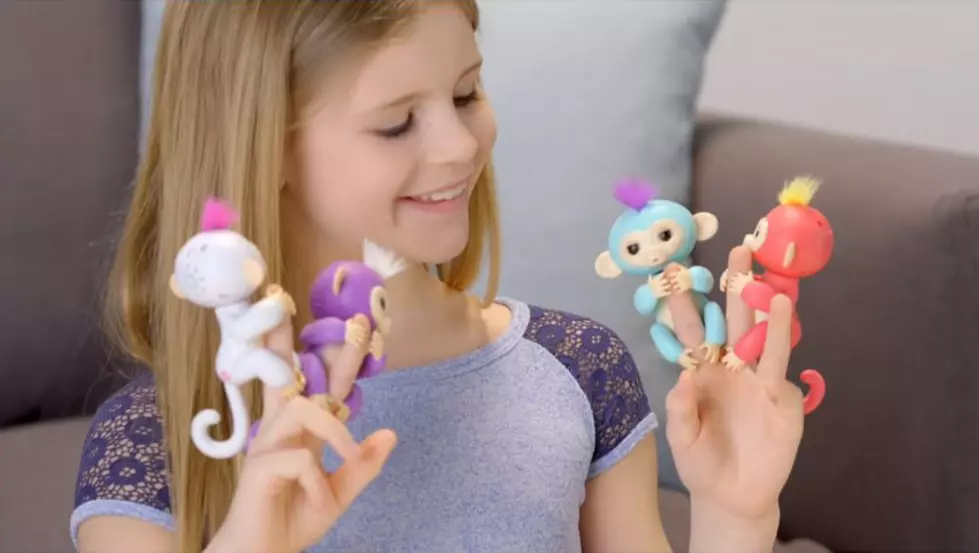 BBB Warns Shoppers Of Fake Fingerlings