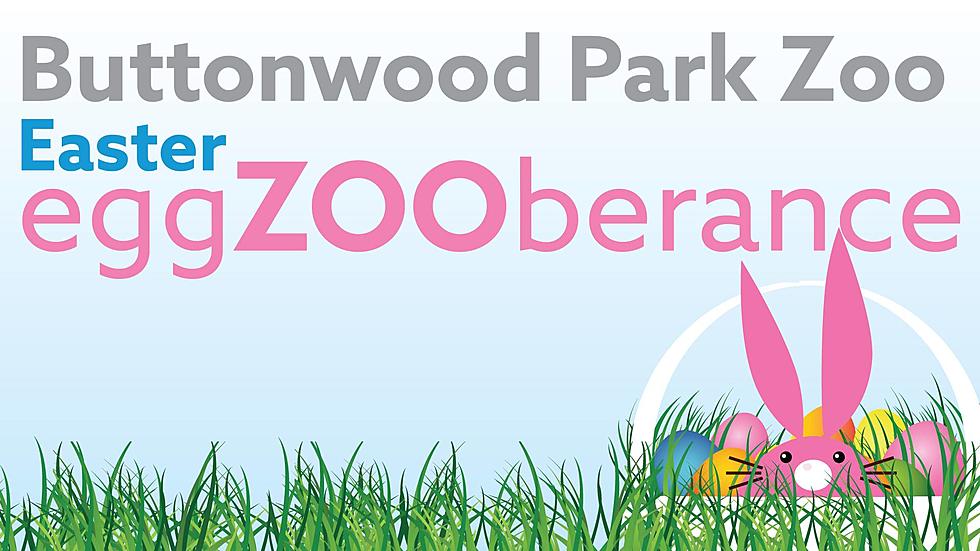 Easter EggZOOberance at Buttonwood Park Zoo