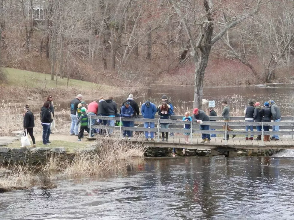 6th Annual Herring Run Festival in Middleboro