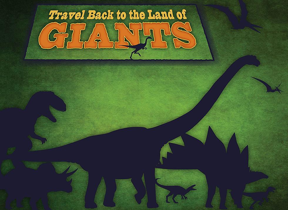 Road Trip Worthy: Jurassic Giants At Mystic Aquarium
