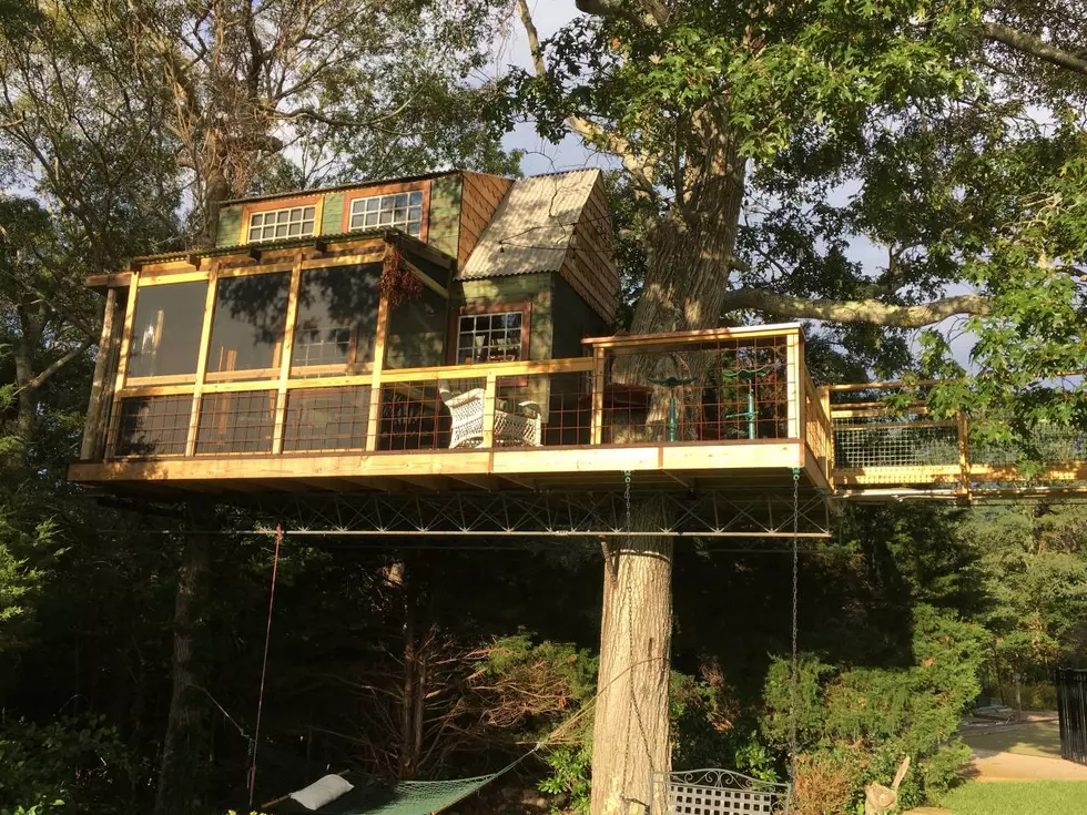 Road Trip Worthy: Stunning Treehouse in Plymouth