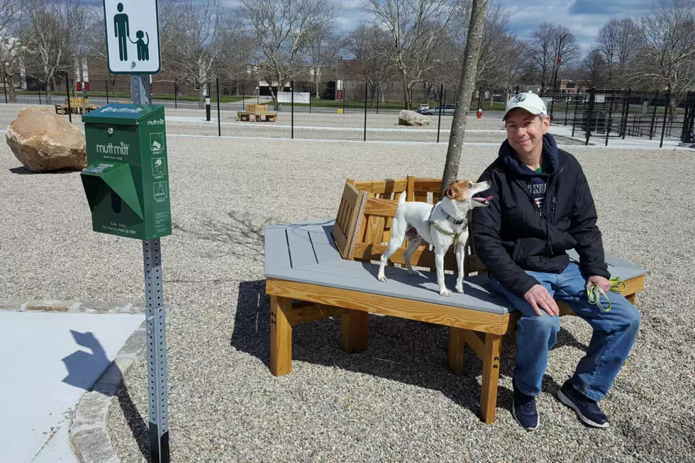 What’s the Deal With New Bedford’s Dog Park Rules?