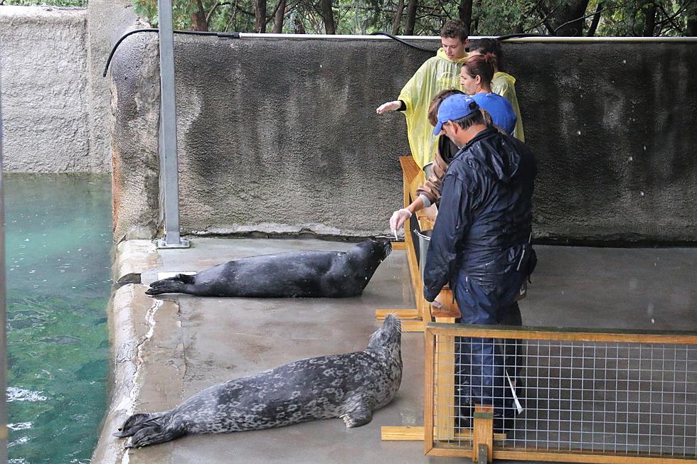 Animal Encounters At Roger Williams Park Zoo