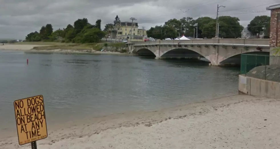 Wareham DNR Releases Video of Dog Thrown Off Onset Bridge