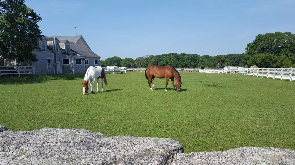 Virtual Tour of the $5 Million Horse Farm in Dartmouth