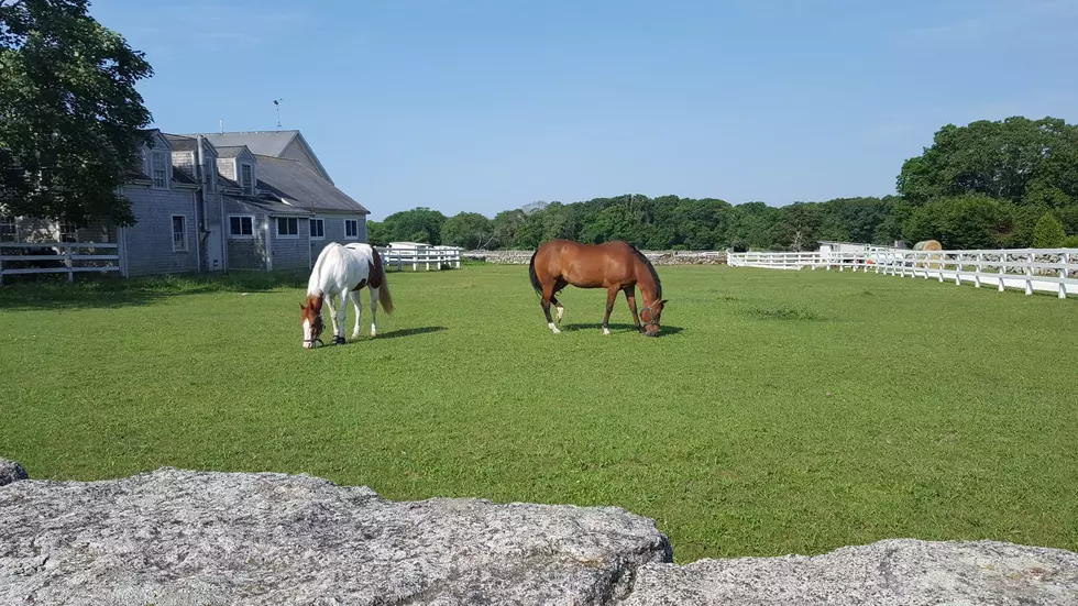 Take a Virtual Tour of the $5 Million Horse Farm for Sale in Dartmouth