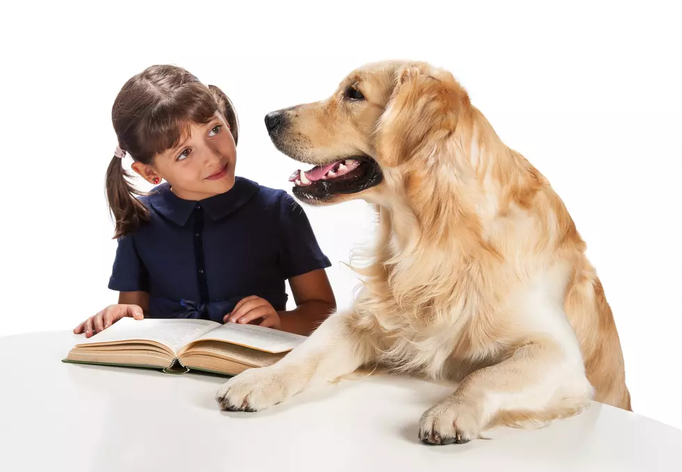 'Shelter Buddies' Allows Kids to Read to Dogs in Shelter
