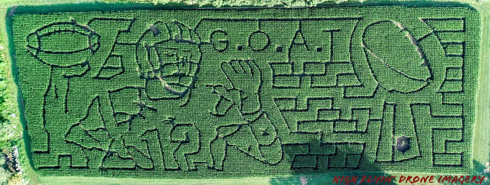 Tom Brady Themed Corn Maze in Bolton