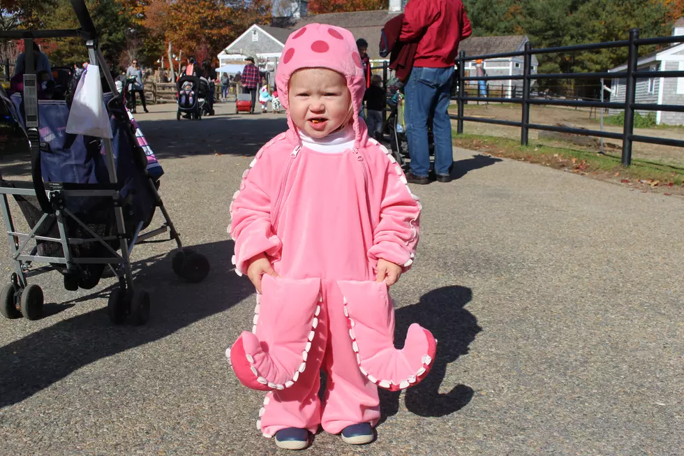 Baby Boo at Buttonwood Zoo 2018 [PHOTOS]