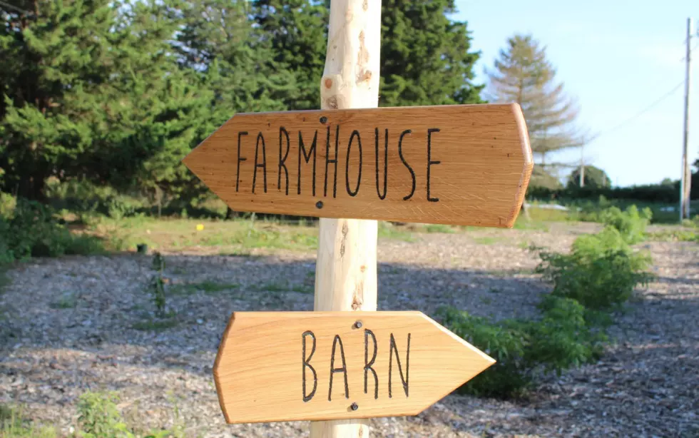 Open Farm Day at Round the Bend Farm in Dartmouth