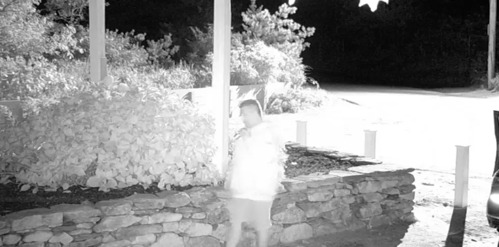 Westport Police Looking for Man in Bizarre Stone-Stealing Attempt