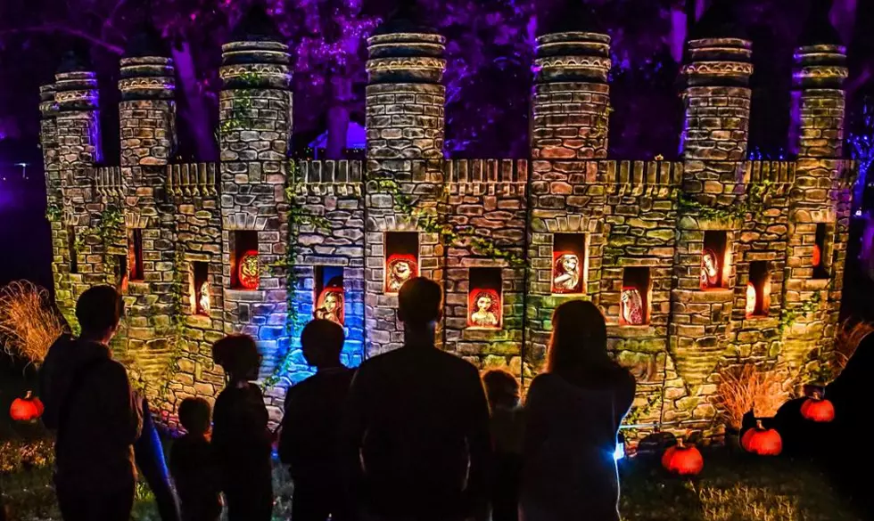 Jack O’Lantern Journey Opens at Franklin Park Zoo