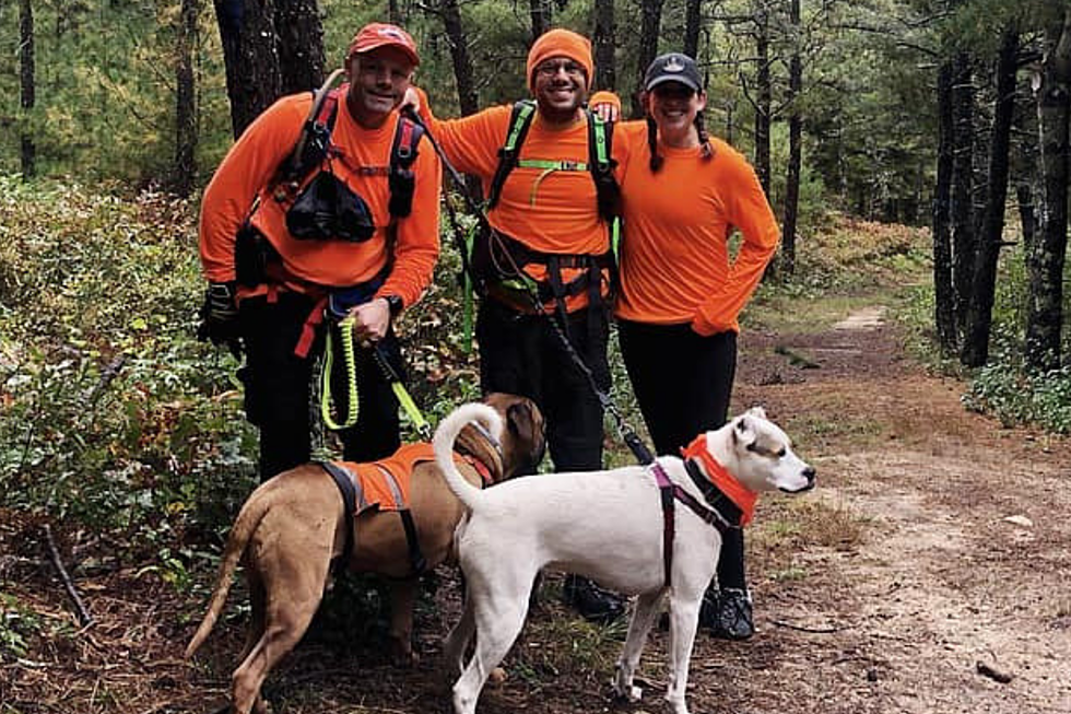 New Bedford&#8217;s OutHounds Adventure Club Offers Hiking Fun For Dog Owners