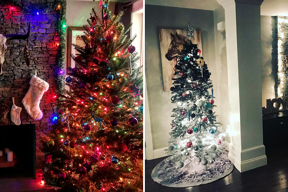 The Great Holiday Debate: Multi-Colored or White Lights?