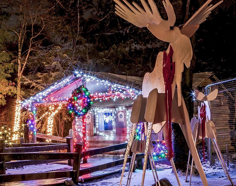 Road Trip Worthy: Meet Santa&#8217;s Reindeer at Stone Zoo in Stoneham