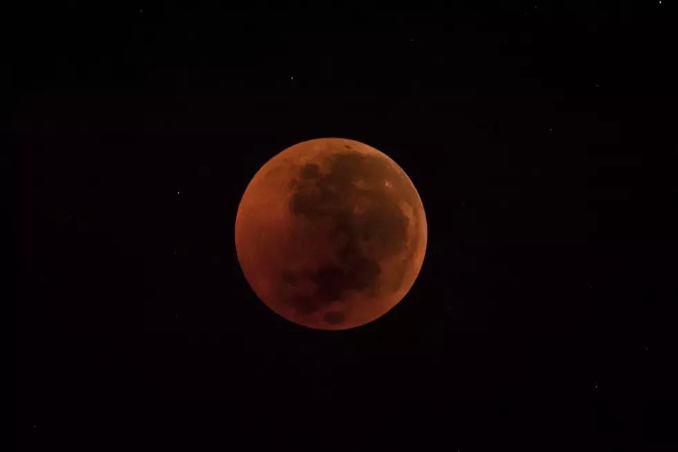 Blood Moon Rising Over SouthCoast 