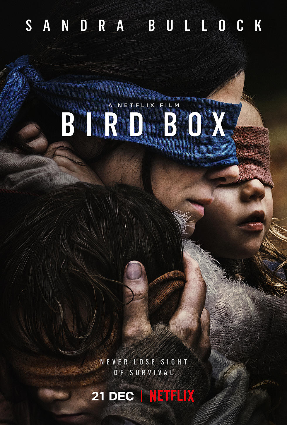 Willie Waffle’s Movie Reviews: ‘Escape Room’ and ‘Bird Box’ [AUDIO]