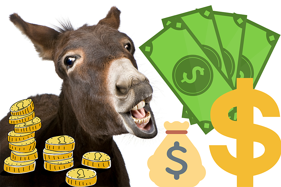 Adopt a Donkey, Get Free Money