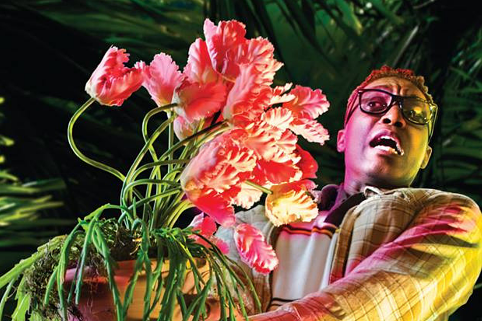Sensory-Sensitive Performance of &#8216;Little Shop of Horrors&#8217; at Trinity Rep