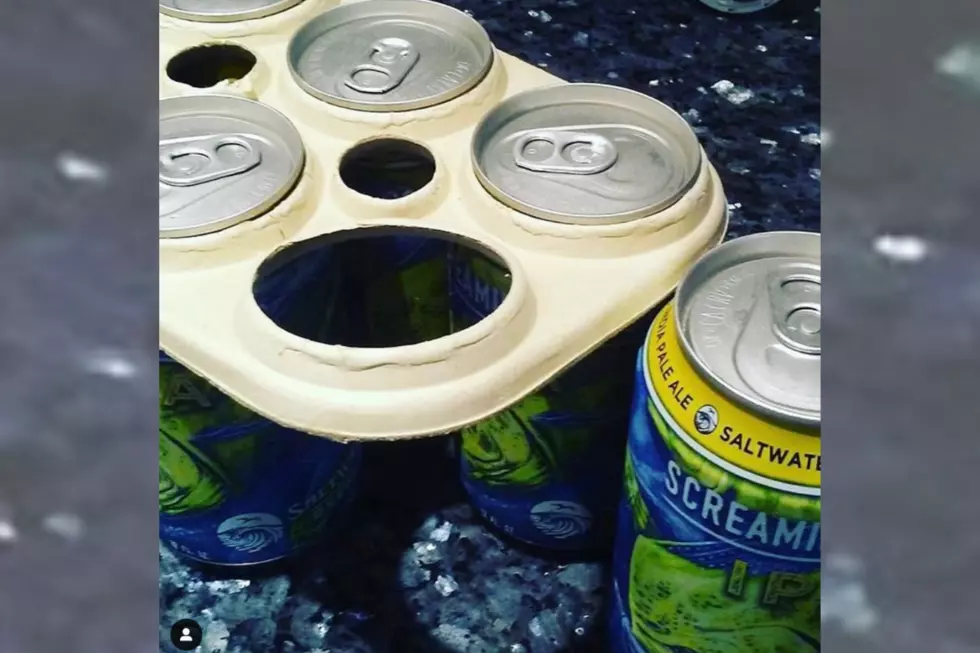 Florida Brew Company Saves Sea Turtles with Beer