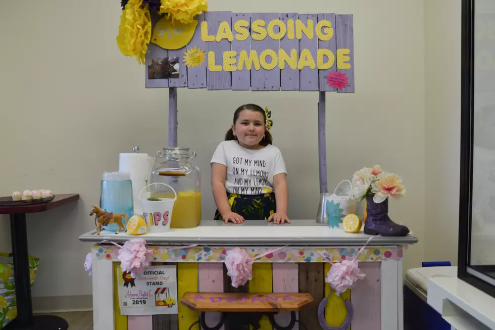 Get Inspired With These SouthCoast Lemonade Day Stands [PHOTOS]
