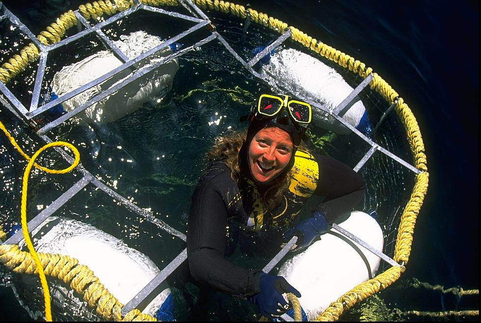 You Can Dive with Sharks Right Off the SouthCoast