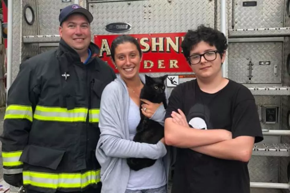 Amazing Rescue of &#8216;Skittles&#8217; the Cat from Acushnet