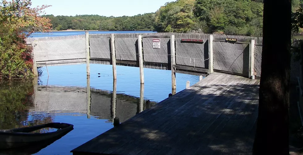 pond deck
