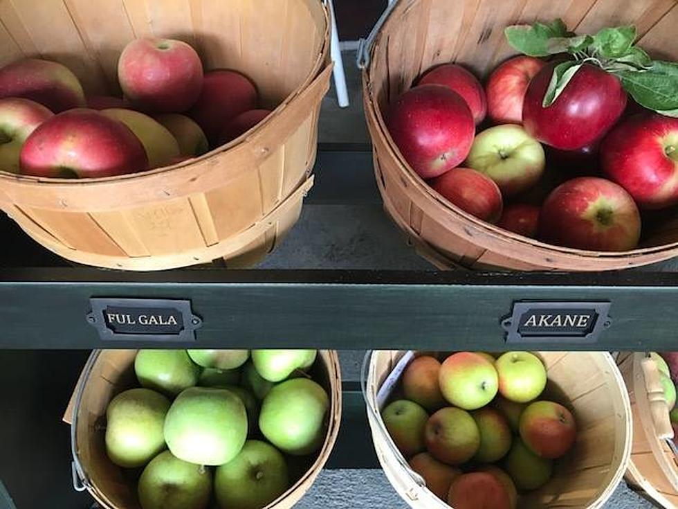 Ultimate Guide to Fall: Apple Picking, Apples to Go, Apple Cider, and More