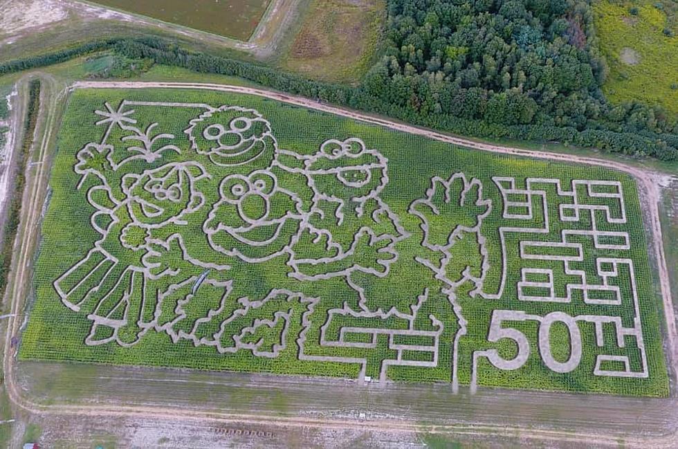 Ultimate Guide to Fall: Get Lost in These Four Giant Corn Mazes