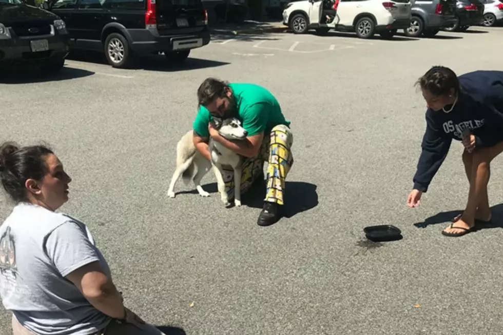 ‘Highway Husky’ Has Heroes on I-195