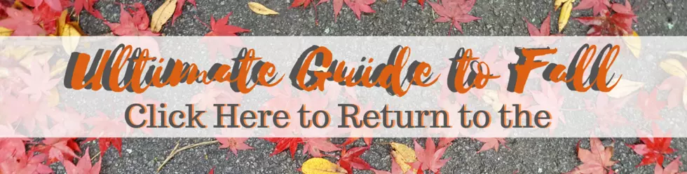 TSM Ultimate Guide to Fall