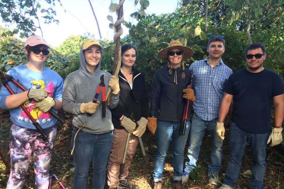 Volunteer as a Trail Blazer with Mass Audubon