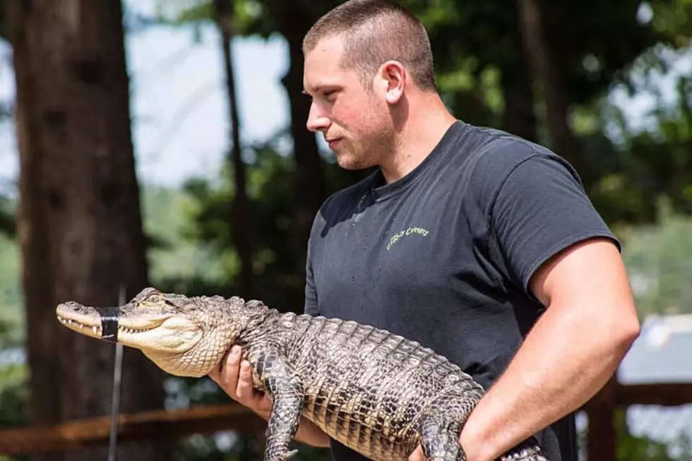 Joe&#8217;s Crazzy Critters Show Returns to the Gleason Family YMCA