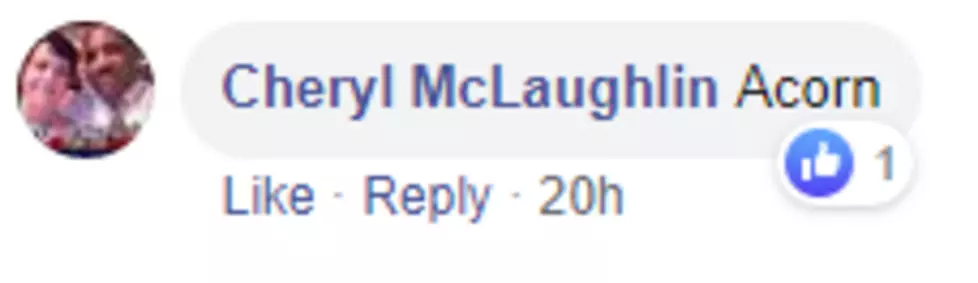 Cheryl McLaughlin says Acorn