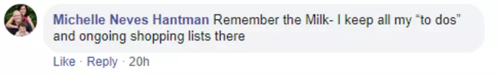 Michelle Neves Hantman says Remember the Milk