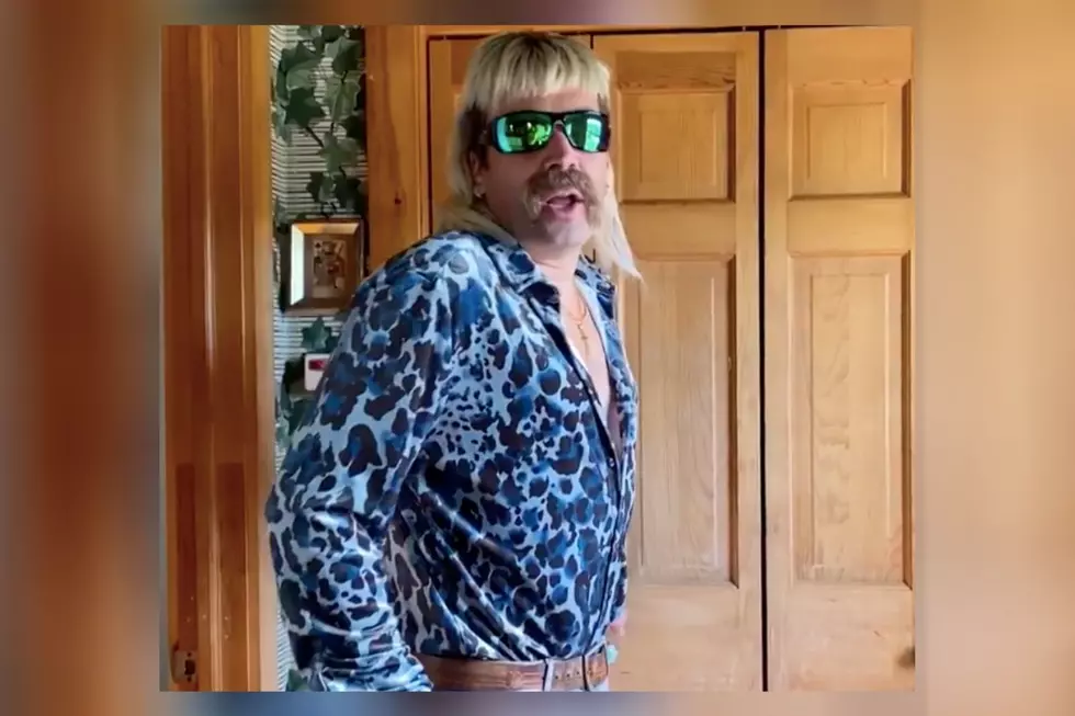 Jimmy Fallon Playing Nic Cage Playing Joe Exotic Is Just Crazy Enough