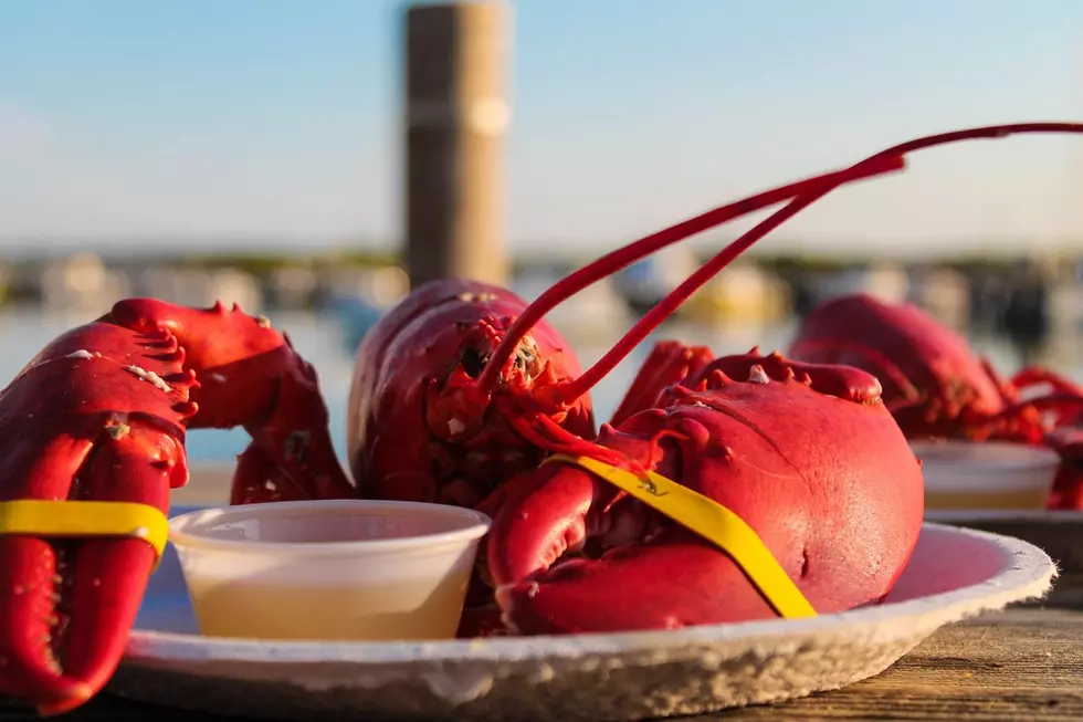 Massachusetts&#8217; Record for Largest Lobster Caught