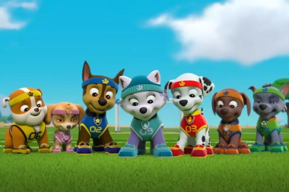 &#8216;Paw Patrol&#8217; Is Not the Enemy