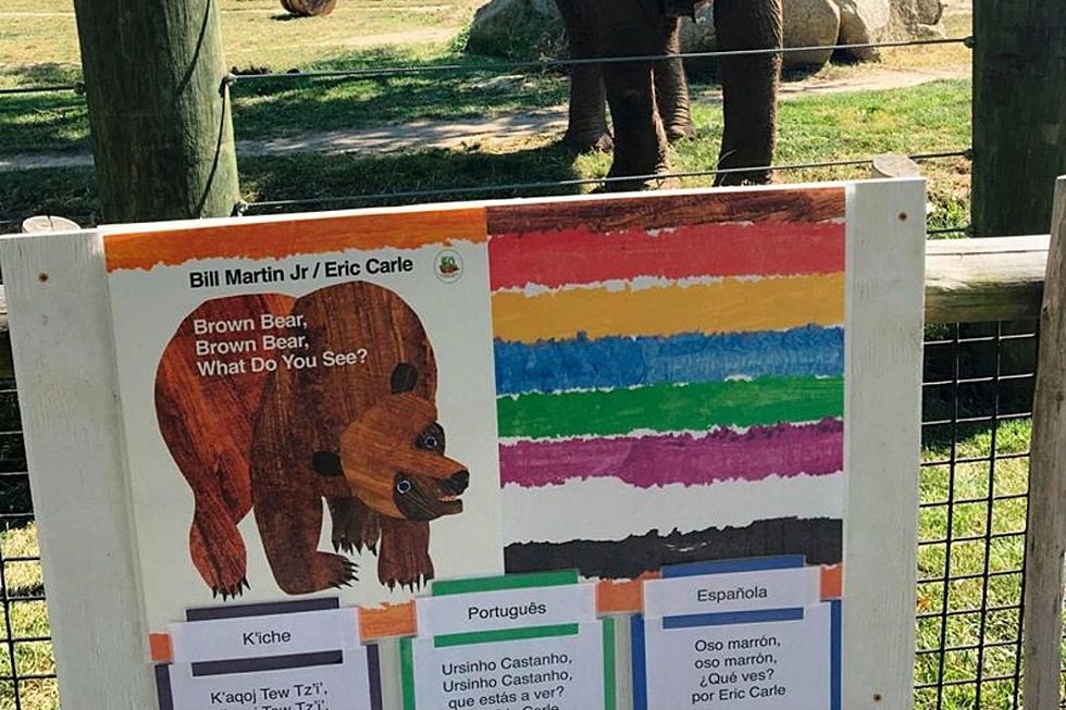 Buttonwood Park Zoo Hosts 'StoryWalk' and Scavenger Hunts
