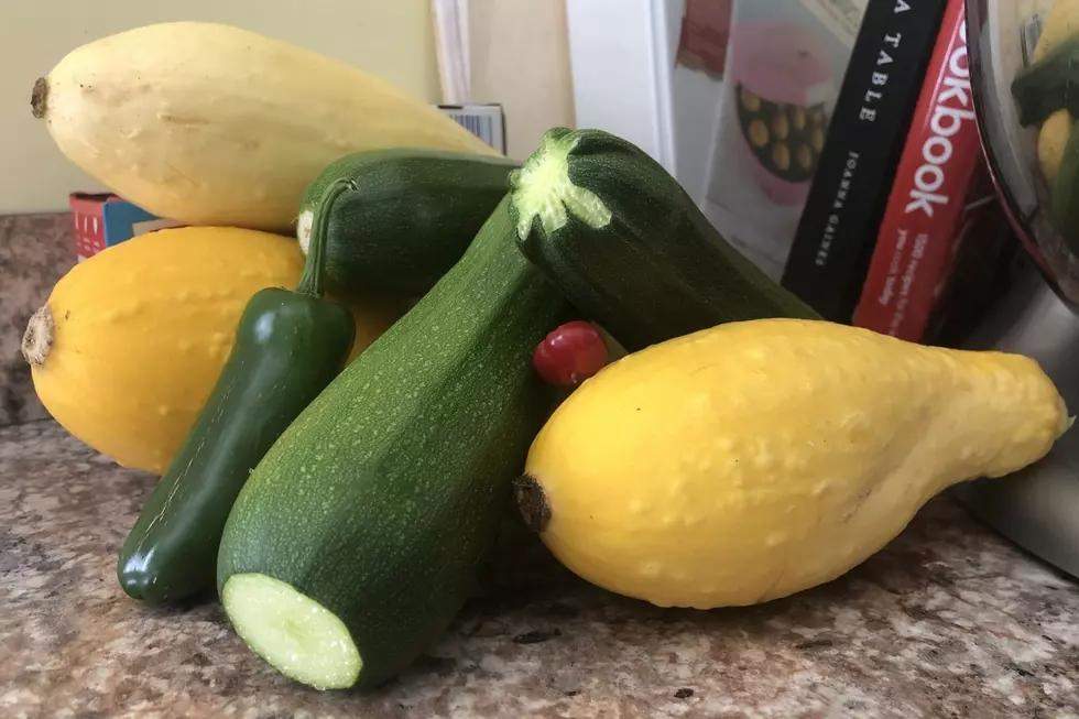 Quarantine Gardens Harvested Across the SouthCoast [PHOTOS]