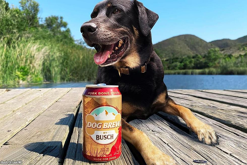 You Can Now Buy Your Real Best Friend a Beer