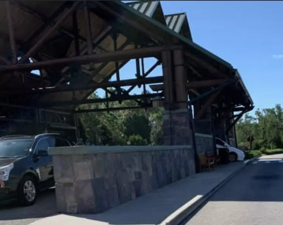 Overly-Excited Mom Drives Her Car Down the Stairs at Disney