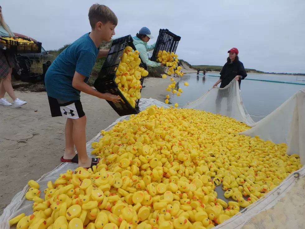 Allens Pond Duck Derby to Give Away Amazing Vacation