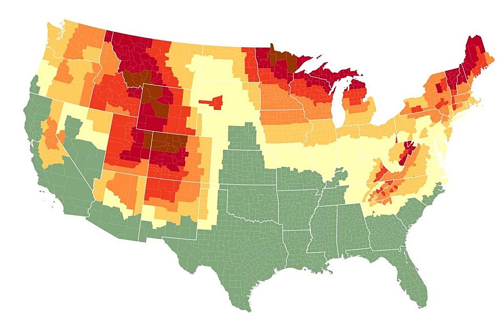 Here Are The Best Weekends For Leaf Peeping on the SouthCoast