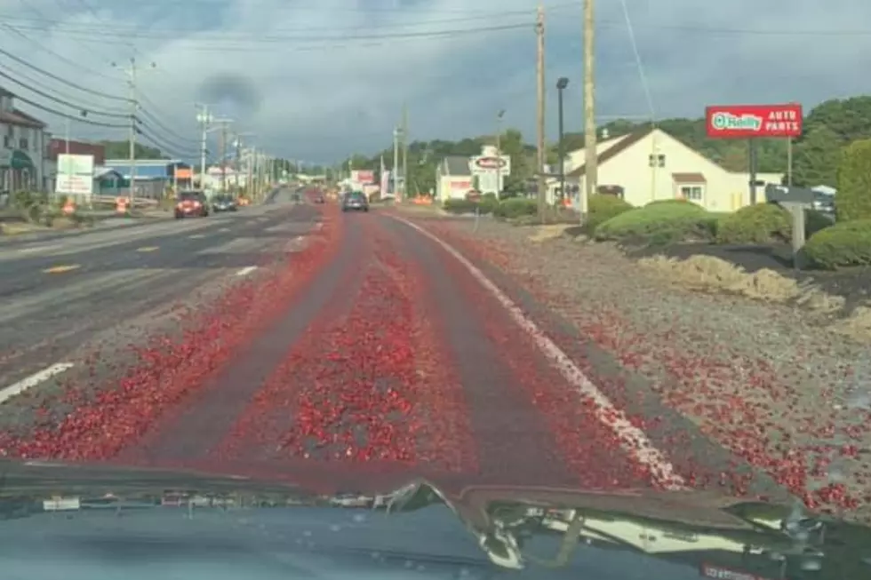 Wareham’s Cranberry Highway Takes On a Whole New Meaning