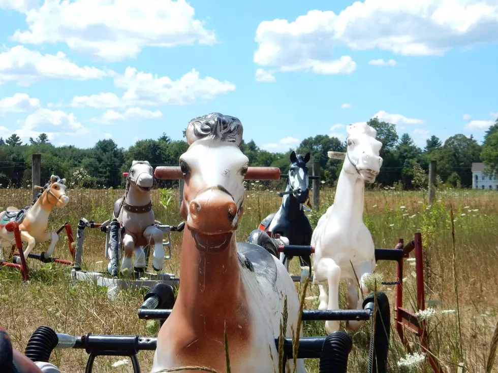 This Pasture of Toy Horses Near Boston is Sweet and Creepy and Strange