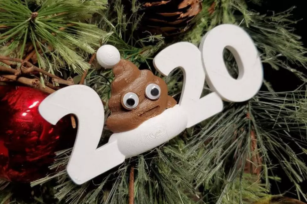 Christmas Ornaments That Describe 2020 Perfectly
