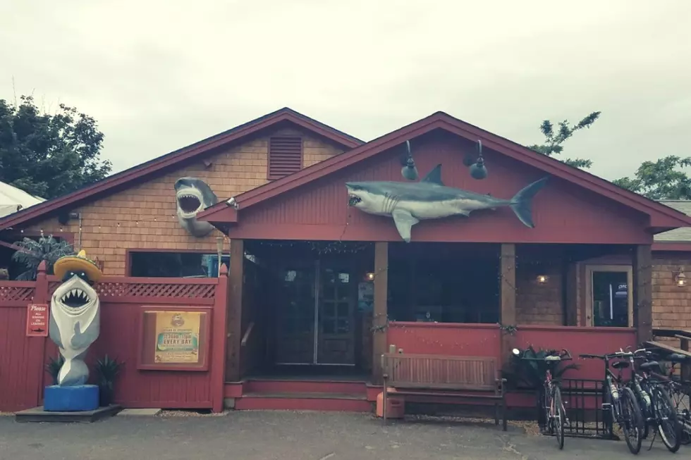 Owner of Sharky&#8217;s on Martha&#8217;s Vineyard Claps Back