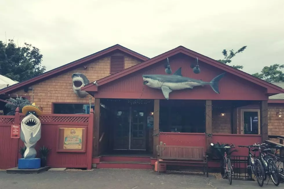 Owner of Sharky's on Martha's Vineyard Claps Back 